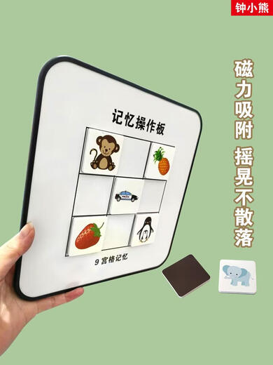 辞普全脑开发教具照相记忆宫格板记忆训练闪卡磁性九宫格宝宝玩具 2套前9后12宫+实物混20片适