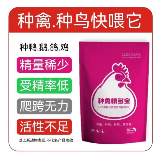 Chicken brand breeder breeder, duck breeder, goose breeder, pigeon breeder, egg-increasing parrot to increase fertilization rate, bird-specific vitamin premix white egg, 500g breeder bird essence Duobao, increase rate
