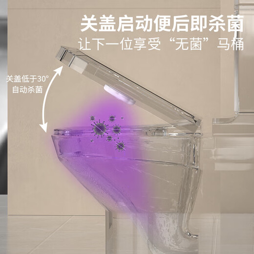 Intelligent induction toilet disinfection sterilizer toilet sterilizer disinfection lamp ultraviolet sterilizer deodorization and odor induction luxury model domestic ultraviolet sterilization 99.9% sterilization