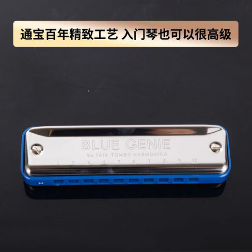 通宝（TOMBO）通宝7610十孔口琴初学者入门布鲁斯口琴小学生paddy C调- 常用调式