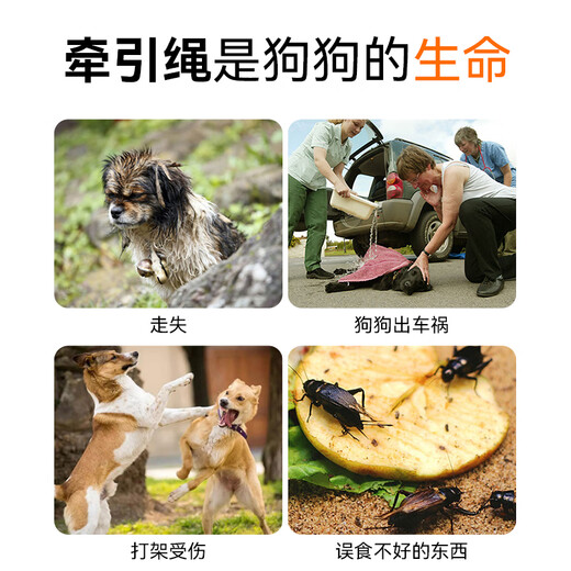 Miling dog rope traction rope new model with bell small and medium-sized dog walking harness golden retriever teddy dog chain pet supplies yellow and blue traction rope with bell-S (3-6Jin Jin equals 0.5 kg)