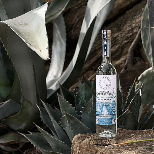 L'extraordinaire oiseau mezcal mézcal tequila tequila mezcal mexicain spirits importés 700 ml tequila mezcal sélectionnée à la main 700 ml