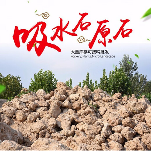 Stone flowerpot absorbs water, water-stained stone, original stone, natural flowerpot with asparagus, bamboo, calamus, succulent plant micro-landscape pot, 13-17cm stone pot + golden calamus package 2