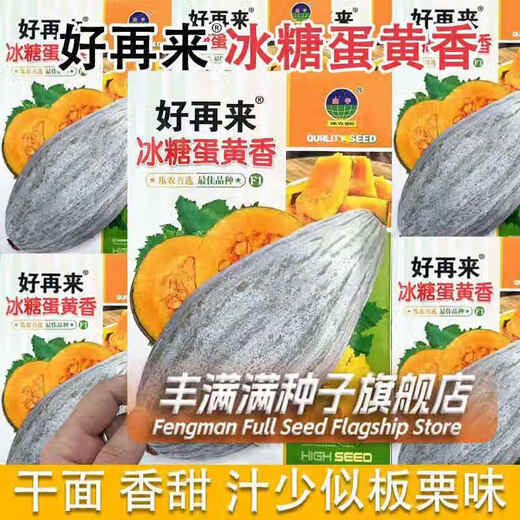 Qizhe rock sugar egg yolk scented pumpkin seeds dry sweet noodles noble ugly melon sweet chestnut pumpkin seeds Northeast golden chestnut rock sugar egg yolk scented pumpkin 5 packs + fertilizer