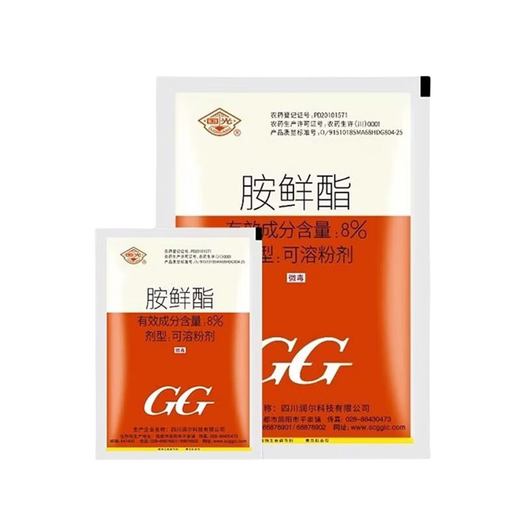 Guoguang 8% amine fresh ester amine fresh fat vegetable Chinese cabbage promotes growth and yield plant growth regulator 10g*10 bags