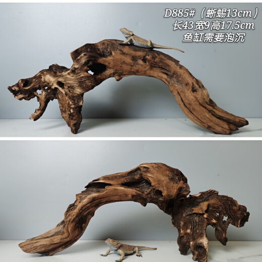 Lizard de león con múltiples mascotas sube 30-80 cm Guardias de reptiles de madera para evitar ramas de rana de árboles decorativas paisajismo H1047 Calidad
