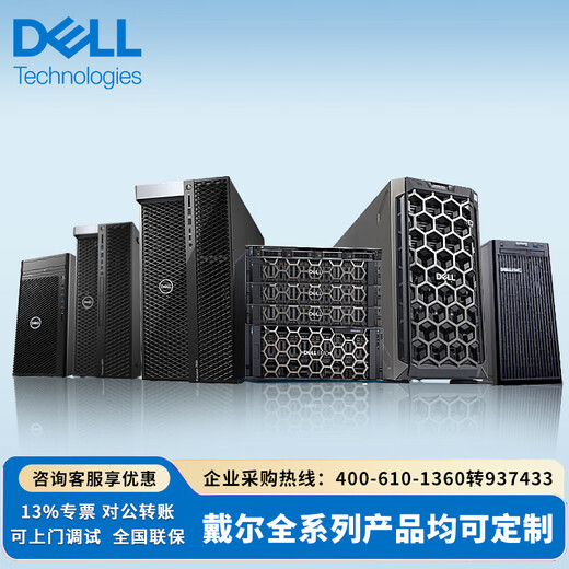 戴尔（DELL）R740服务器主机 机架式存储GPU服务器DeepSeek本地部署 1*4210R 10核心20线程 16G/2块1.2T/H330
