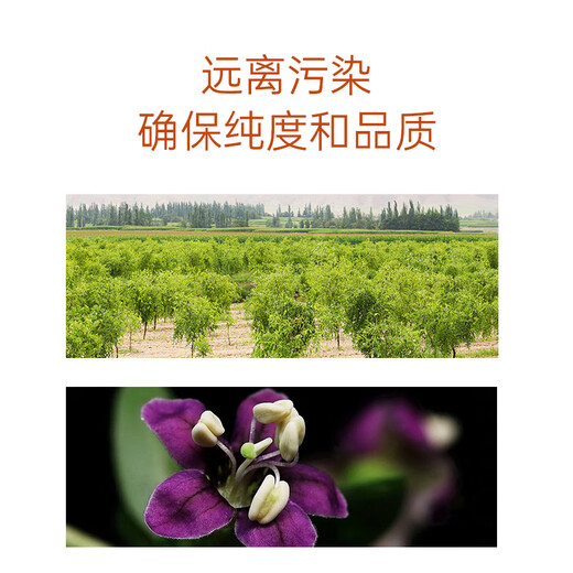 Ning'anbao wolfberry honey 500g honey Ningxia wolfberry preferred double nourishment Breakfast milk cereal companion gift