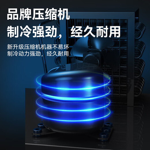 雪普瑞减霜冰柜家用一级节能冷藏冷冻冰柜商用冷柜卧式大容量全冷冻全冷藏两用柜展示柜 828单温铜管智慧款1730*680*830