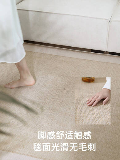 古音客厅地垫免洗易打理防滑地毯2025新款季轻奢高级感冰丝凉席榻榻米 宜沐-15780 200*340cm[光滑无刺毛]