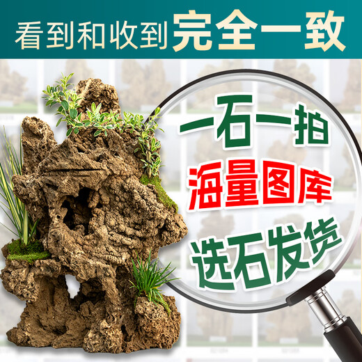 High-quality water-absorbing stone bonsai fish pond rockery micro-landscape decoration natural rockery stone landscaping raw stone high-quality 150-159cm water-absorbing stone without basin