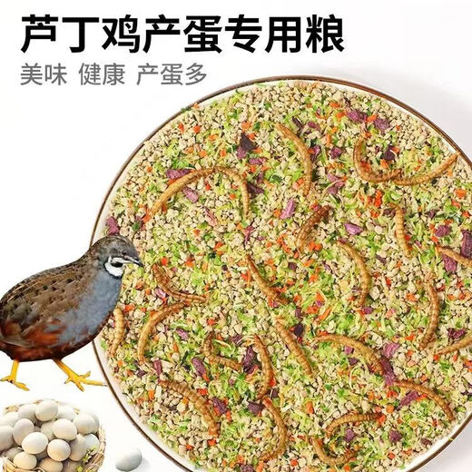 Rutin chicken special feed Rutin chicken egg production feed mealworm brooding feed quail feed high protein 2Jin Jin equals 0.5 kg brooding food containing mealworms dried vegetables