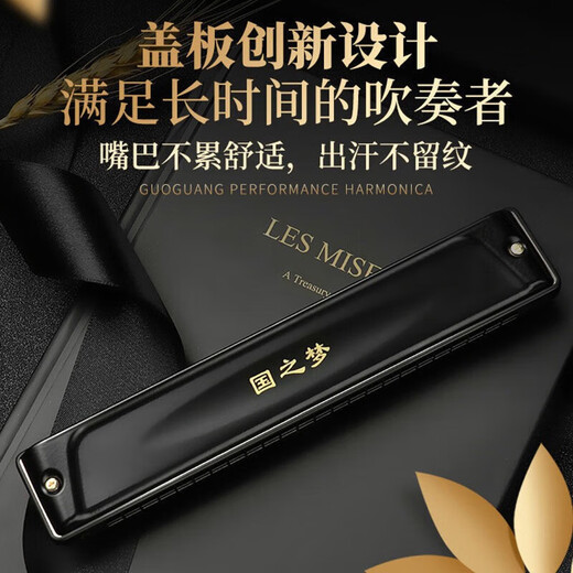 Guoguang Deutschland importiert Gong 24-Loch Polyphonische Harmonika Advanced Adult Professional Performance Grade Nicht-Stall-Fingerabdruck Männlich und Frauen Eingang 24-Loch-C-Tune Polyphonic Schwarz