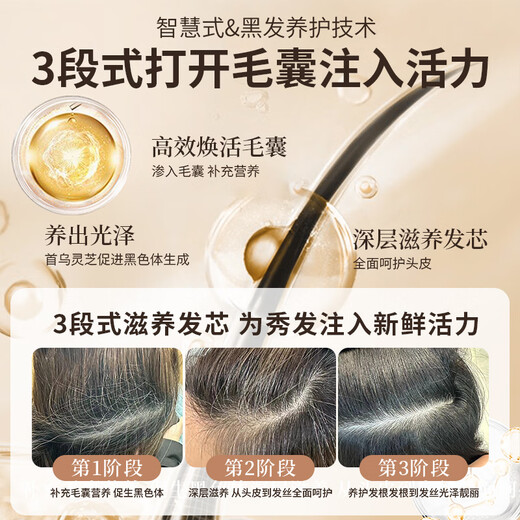 Tongrentang Black Ganoderma Lucidum Heshou Polygonum Multiflorum Shampooing Black Hair Plant naturel Nourishing Hair Roots Care Shine Shampoo 300 ml