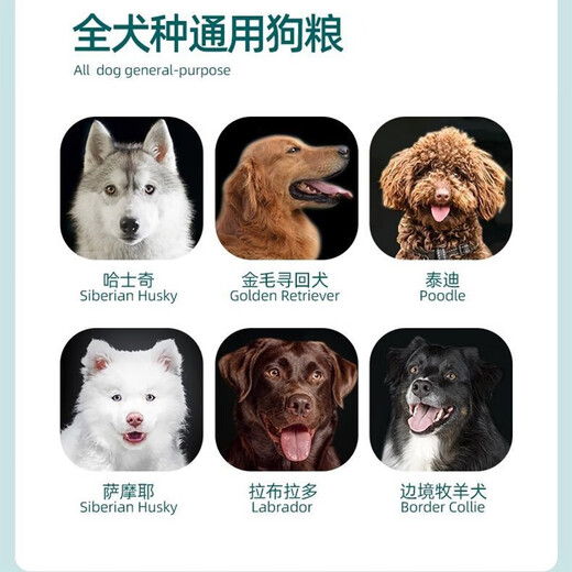 Chinese Pastoral Dog Food Dog Girl General Beef Flavor Bulk Food 10 Jin Jin equals 0.5 kg. Packed into puppy native dog food 5 kg kg 0kg dog food beef flavor 5 Jin Jin equals 0.5 kg (limited time event)
