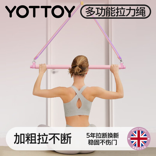 yottoy拉力器开肩练背练腿健身瑜伽弹力带拉力绳力量运动高位下拉训练器 新手9件套/防断40磅/力度可调节