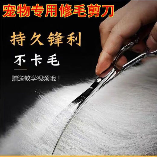 Pet grooming scissors, trimming scissors, straight scissors, curved scissors, dog shearing scissors, Teddy Bichon professional trimmer, about 14cm## dental scissors + curved scissors + flat scissors