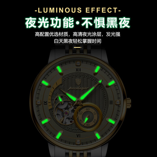 Pydaga Switzerland Neue Männer vollautomatische mechanische Uhr Tourbillon Multifunktion Luminous Business Water of Watch Watch Men's Watch 1416 Goldgrau-Stahlgürtel Modell 42mm