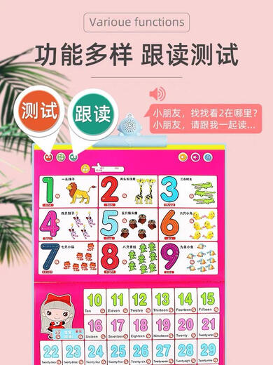 幼儿童发声点读学习书宝宝早教机神器充电玩具拼音唐诗中英文 幼小衔接2-11岁点读书-充电款
