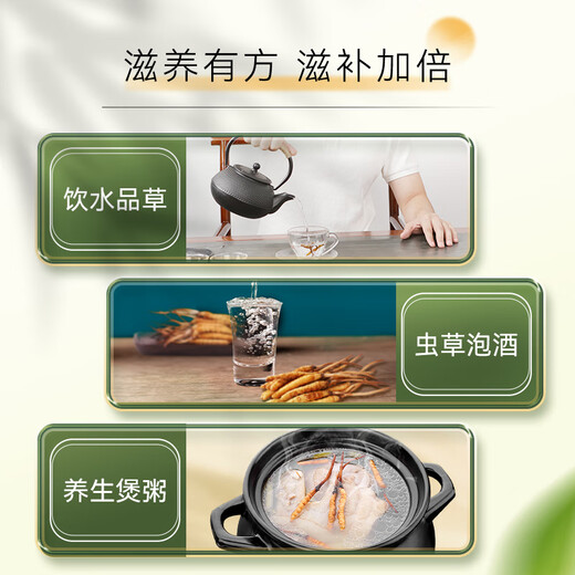 Dongyangguang Cordyceps sinensis 3-4 Wurzeln/G11g etwa 38 Wurzeln Tonic Gift Box Cordyceps Nahrungsergänzungsmittel für Älteste