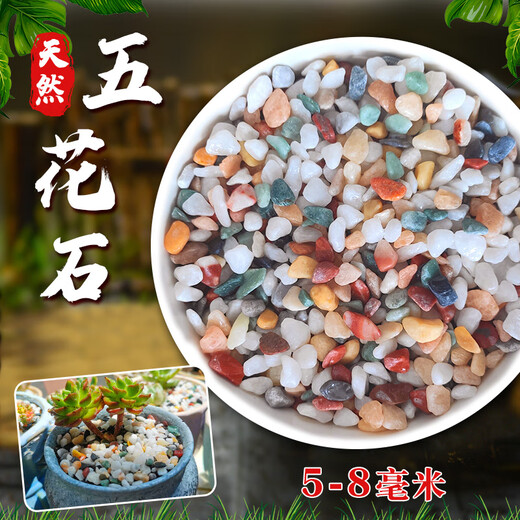 Ruixi Pure Rain Flower Stone Potted Succulent Pavement Stone Small Multicolored Stone Fish Tank Pavement Ornamental Stone Colorful Colorful Stone 6-9mm 4Jin Jin equals 0.5kg packed