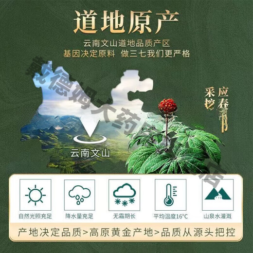 王晓全株萃取三七精华固体饮料提取物老师中医晓说百消丹 八盒一组