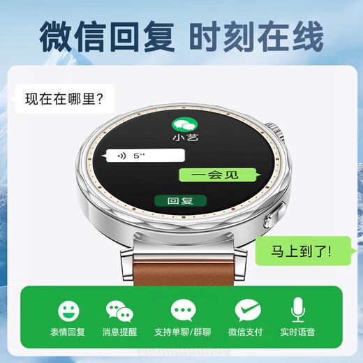 华为【国家补贴15%】华为手表watch gt5运动智能血氧心率通话微信睡眠学生送男女生友手表gt43pro升级 苍山灰手表+钛空银定制表带