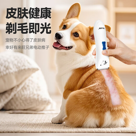 Laiwang Brothers Pet Electric Clipper Dog Shaver Hair Trimmer Small and Medium-sized Dog Teddy Electric Clipper Beauty Tool PC-360