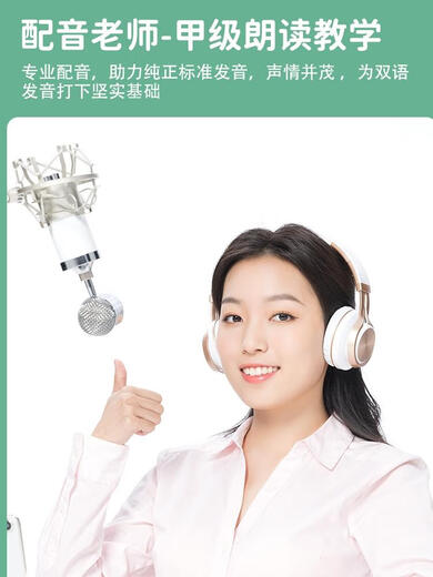 笑炎儿童26个英文字母点读书幼儿早教英语单词学习机中英双语有声绘本 26个英文字母点读书--充电
