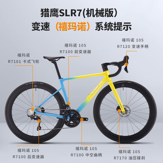 SAVA SAWA FALCON SLR7S FILLE FIBRE DE CARBONE R7170 TRANSMISSION ELECTRONIQUE VÉLO HIET PURE DISC PURE COMPACTION DE CONCONTATION PANDA PANDA COULEUR-SLR7S-R7120-24S-OIL Brake 490-XS [Hauteur suggéré 160cm-165cm]