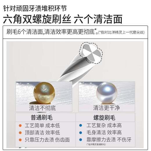 洋精灵强效去渍牙刷高档去黄硬毛成人宽头高端男士专用去烟渍牙垢双支装