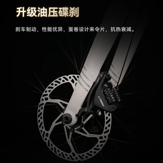 喜德盛公路自行车2025款AD300铝架20速油压碟刹破风弯把竞技单车 白蛇 【整车发货】 540mm