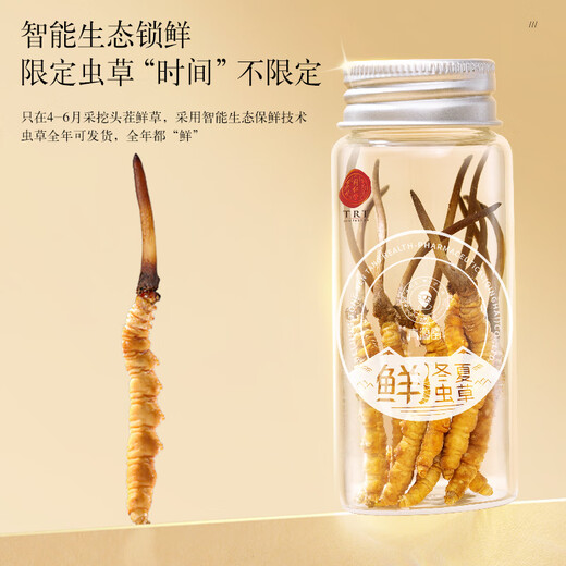 同仁堂（TRT）品牌 新鲜虫草0.61-0.8克/条30条装冬虫夏草 青海源头直发包邮