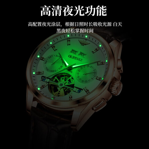 European Pinke Swiss Certified Watch Herren Vollautomatische mechanische Uhrenwache wasserdichte leuchtende Herren Uhr 520 Valentinstag Geschenk European Pinke-3291-Brown Leder Rosenweiß kostenlos Gravur