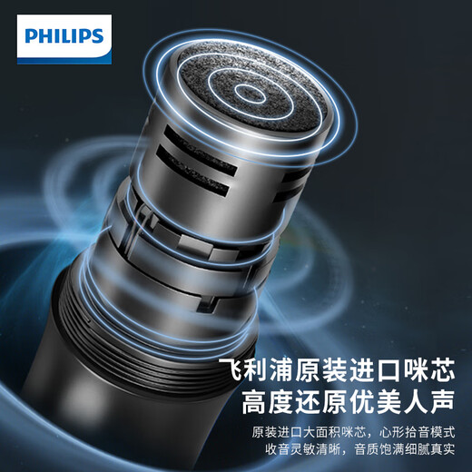 Philips CSS1700C Performance professionnelle Performance microphone pour Utilisation à domicile Microphone sans fil dédié KTV pour le segment U FM K Song Mark Conference Host Wedding Handheld amplificateur Mixer U segment Bel Canto K Song Double Micro