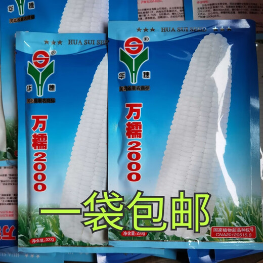 Wannuo 2000 corn seed seed Wannuo 20 million glutinous 188 sweet waxy corn seed Hebei 200g new date Wannuo 2000