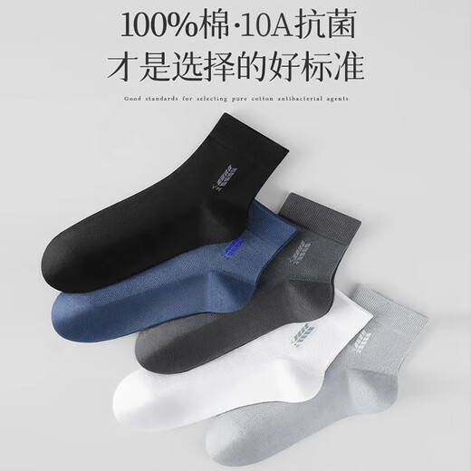 Chaussettes en coton yi [100% coton pur antibactérien et anti-odor] chaussettes moyennes en mesh fine entreprise respirant bulle longue 6 paires