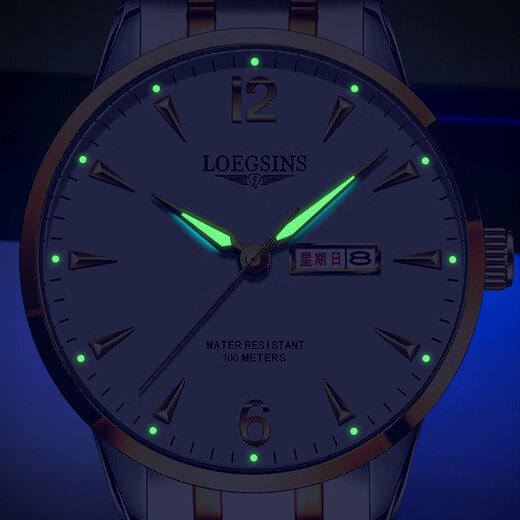 Loegsinss Watch Herren wasserdichte leuchtende leuchtende vollautomatische mechanische Uhr Top Ten Brands Hollow Men's Watch L728 Gold White Floor Upgrade Geltsgürtel + Pixiu