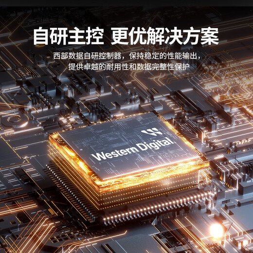 Western Digital (WD) ordinateur de bureau portable Disque SSD SA510 SATA M.2 Blue série Technologie 3D lecture et écriture haute vitesse WD Blue SATA | Modèle performant haute capacité 1 To