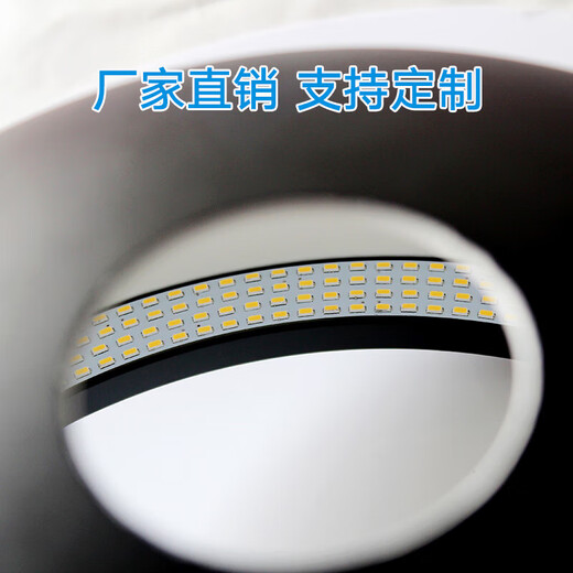 Ruthus bowl-shaped light source automation equipment industrial detection dome dome diffuse reflection high uniform curved surface visual light source D DM9230 new process bowl-shaped dome light source