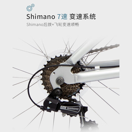 TERN tern Link A7 Bicycle Folding Bike for Adults Ultra-Lightweight and Portable Link A7 Nürburgring Silver - Suitable for Height 142 - 20