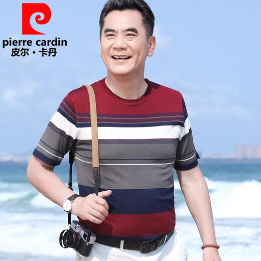 Pierre Cardin Cool Cool Silk Silk Summer Camiseta redonda de cuello redonda de manga corta Papá de mediana edad de manga de manga corta Atentable Top FJ693 Blue gris sin hielo transpirable y sin píldoras 4xl 190 180-200Jin [Jin equivale a 0.5 kg]