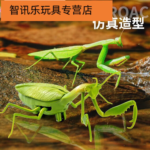 山头林村遥控螳螂电动玩具整蛊神器蟑螂男孩会动的蜘蛛爬行小动物 遥控螳 [经典版-遥控蜈蚣]黄黑款9901