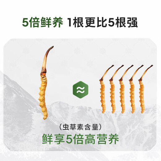阿依舍西藏那曲2025年头茬野生新鲜冬虫夏草 冷鲜空运 送长辈营养品礼盒 野生头茬鲜草1.0g/根 30根