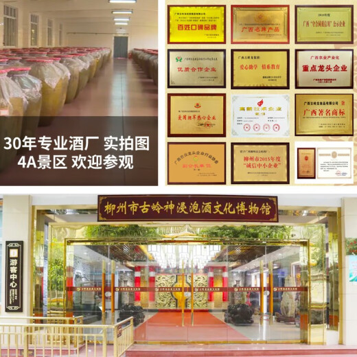 Gulingshen soaked wine 35 degrees health wine for men and women, ginseng, wolfberry, yellow essence, low-alcohol tonic wine, Guangxi rice wine-based holiday gift, 35 degrees, 180mL, 15 bottles, whole box
