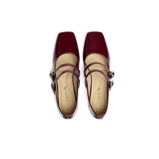 Red Dragonfly Mary Jane Shoes 25 Spring Women's Shoes Thick Heels Single Shoes Wedding Shoes French Temperament Small Leather Shoes WTB15281 Burgundy 35