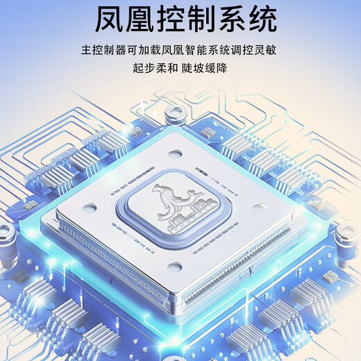 Phoenix Beetle electric tricycle for household use, small electric vehicle for walking for the elderly, electric three-wheeled leisure battery vehicle for the elderly, 600W丨60V30A lithium battery + battery life of about 75 kilometers