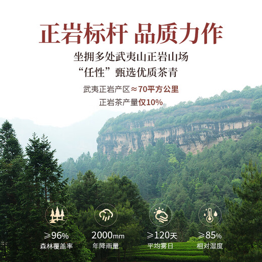 TEA TEA OOLONG de Xiaowen portant Mountain 5000 Wuyi Rock Tea Zhengyan Cinnamon Niveau 49.8G Fire moyen Fiche d'auto-alimentation du thé Cadeau