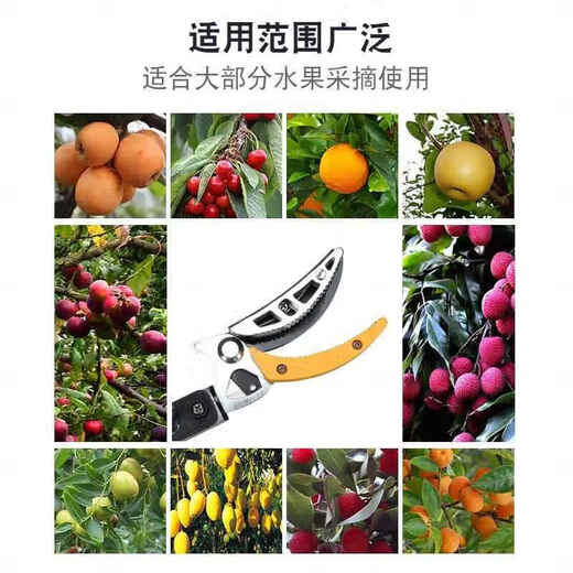 喆湘德国剪果神器高空采摘剪枇杷水果神器伸缩杆剪荔枝修枝剪树枝剪刀 旗舰款3段伸缩【2.1-5米】+锯片1个