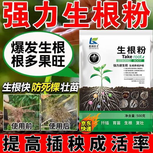 Powerful Rooting Powder Rapid Rooting and Seedling Strengthening Agent Rooting Powder Rapid Rooting Powerful Rooting Liquid Rooting Powder for Transplanting Rooting Powder 1Jin Jin is equal to 0.5kg, 3 packs